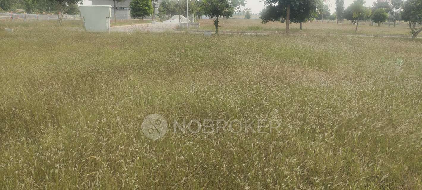 Plot For Sale  In Amogh Spania In Chikkannanahosahalli