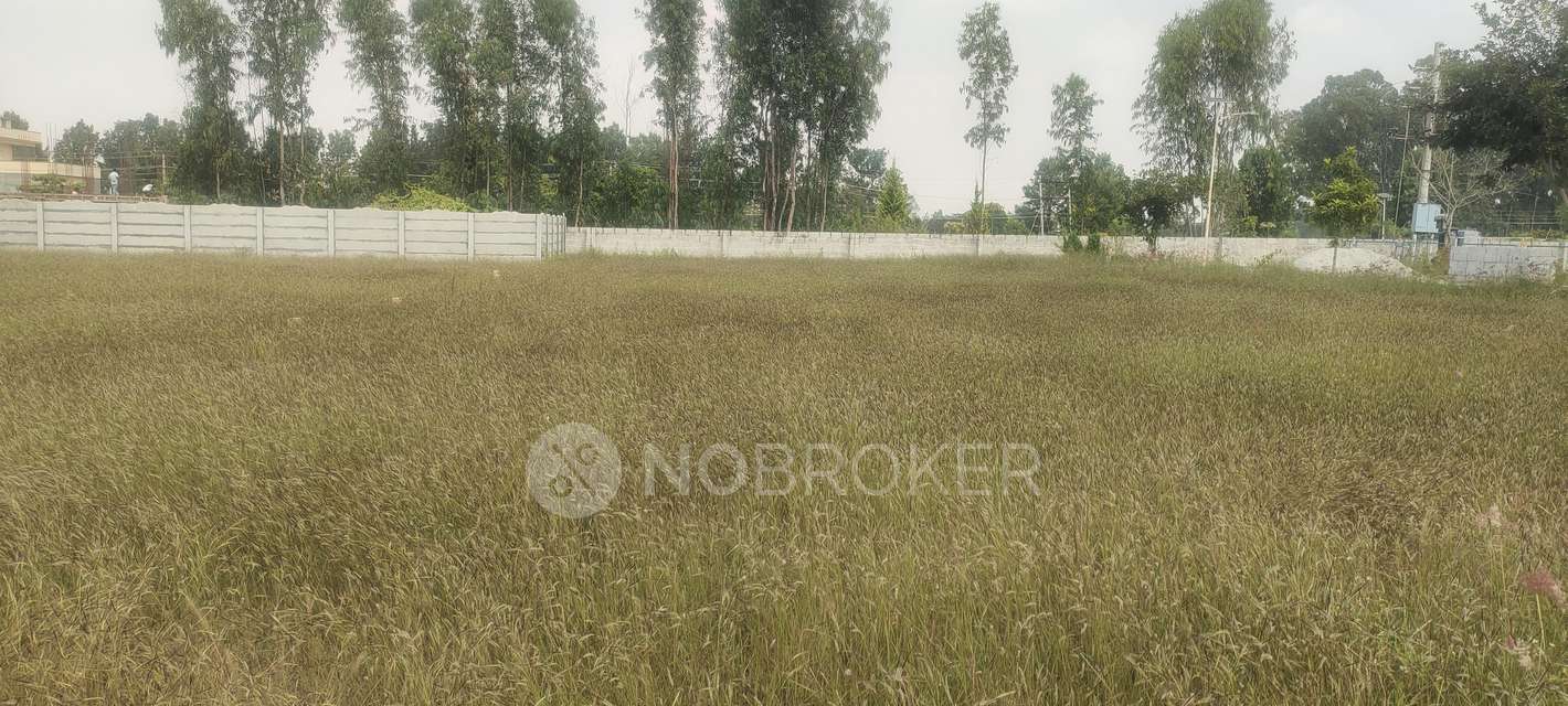 Plot For Sale  In Amogh Spania In Chikkannanahosahalli