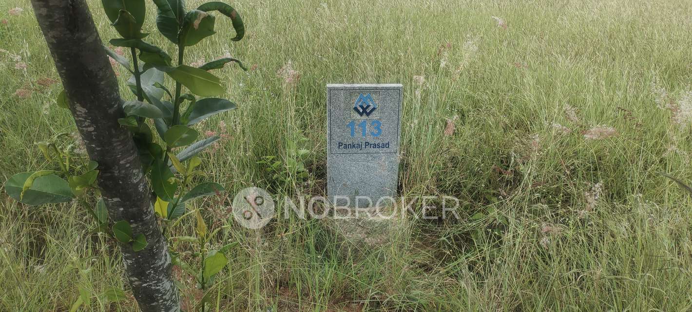 Plot For Sale  In Amogh Spania In Chikkannanahosahalli