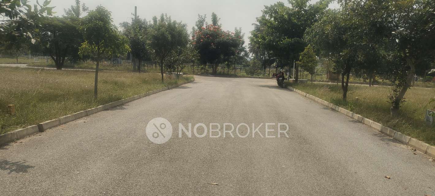 Plot For Sale  In Amogh Spania In Chikkannanahosahalli