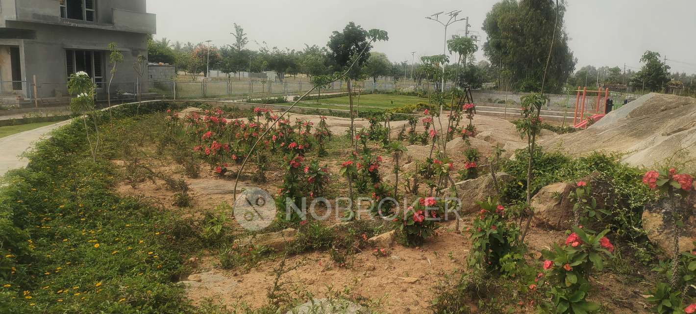 Plot For Sale  In Amogh Spania In Chikkannanahosahalli