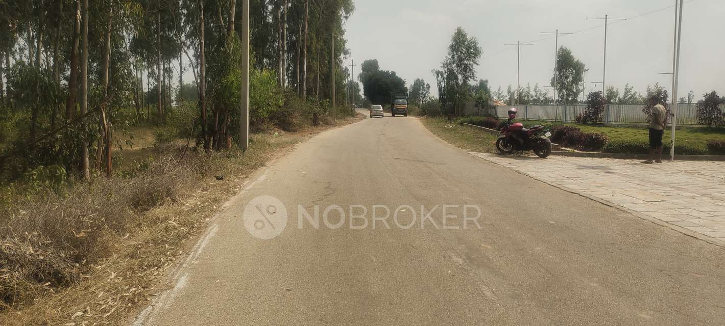 Plot For Sale  In Amogh Spania In Chikkannanahosahalli