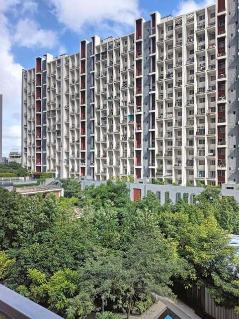 2 BHK Flat In Godrej24 for Rent  In Hinjawadi