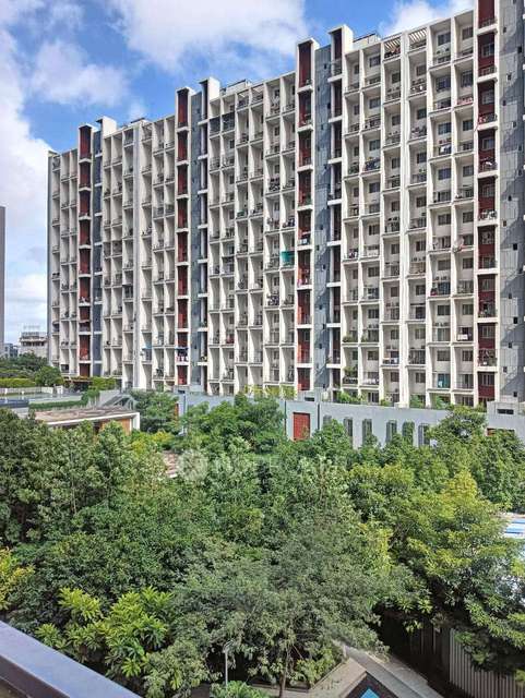 2 BHK Flat In Godrej24 for Rent  In Hinjawadi