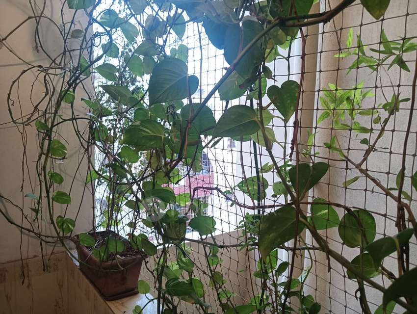 3 BHK Flat In Yashodhara Castle Apartments For Sale  In Nizampet