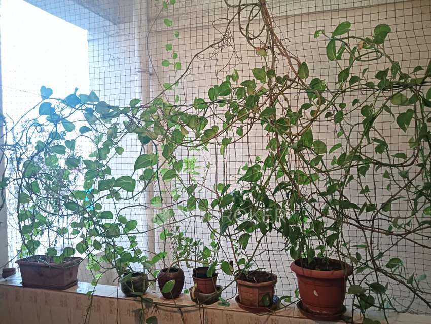 3 BHK Flat In Yashodhara Castle Apartments For Sale  In Nizampet