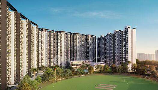 3 BHK Flat In Eldeco , Ace , Ats For Sale  In Sector 135