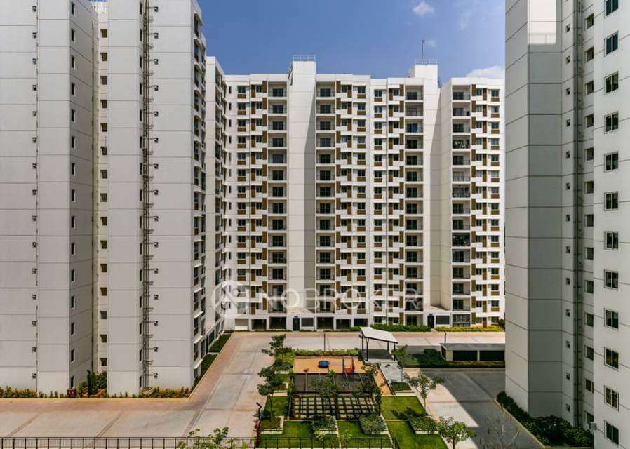 2 BHK Flat In Tata New Haven, Dasanapura Hobli for Rent  In Apartment