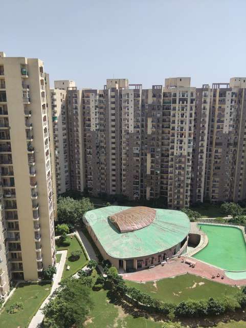 3 BHK Flat In Paramount Floraville, Sector 137 For Sale  In Sector 137