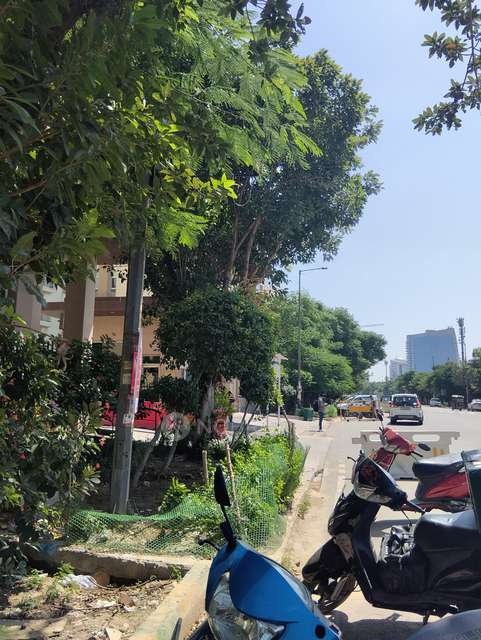 3 BHK Flat In Paramount Floraville, Sector 137 For Sale  In Sector 137