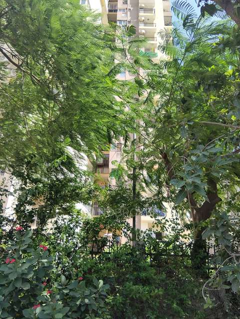 3 BHK Flat In Paramount Floraville, Sector 137 For Sale  In Sector 137