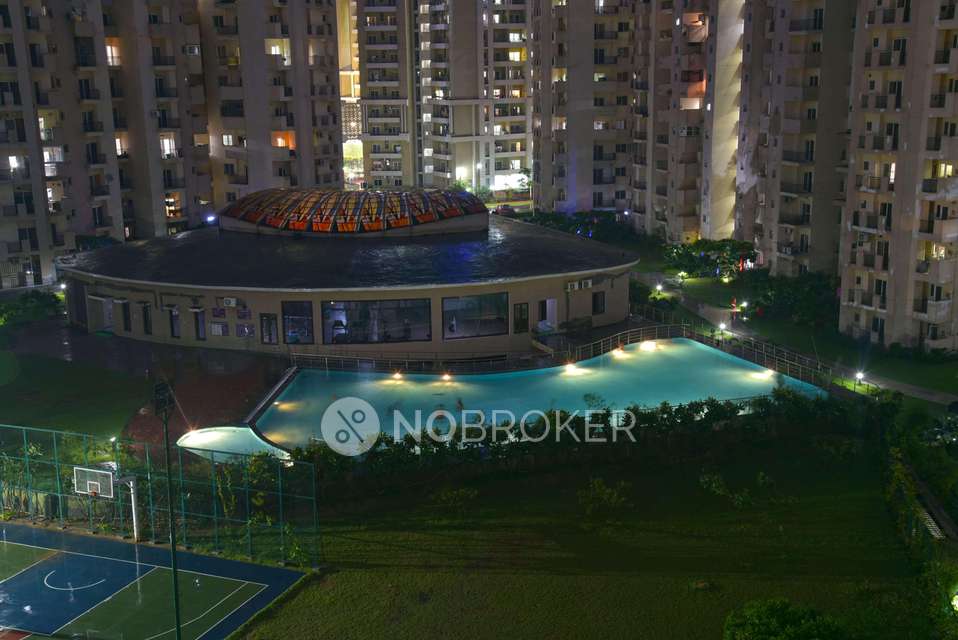3 BHK Flat In Paramount Floraville, Sector 137 For Sale  In Sector 137