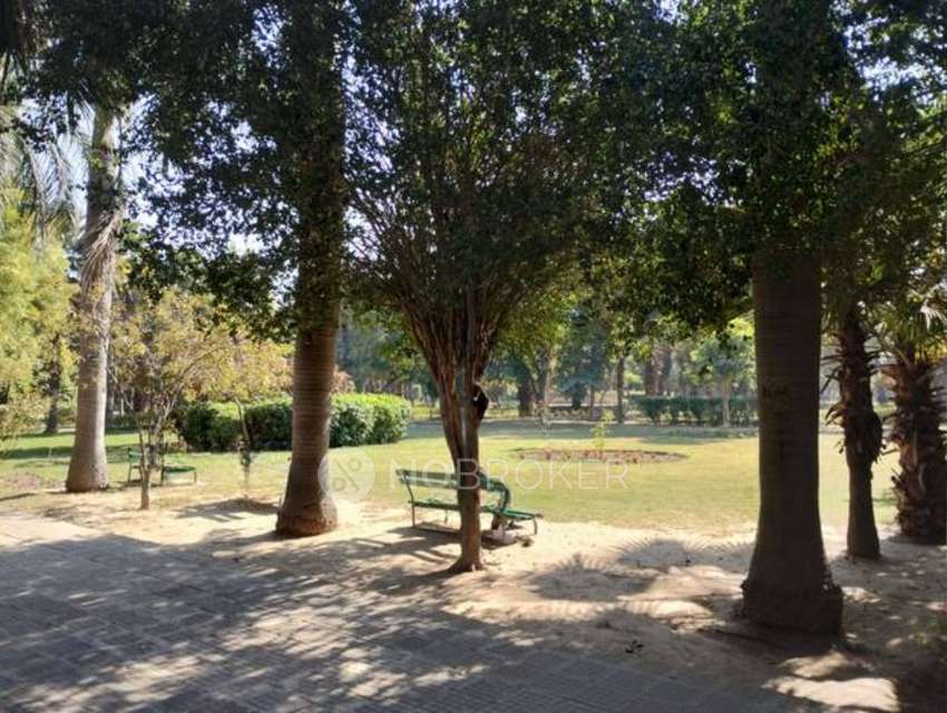 3 BHK Flat In Purvanchal Kailash Dham, Sector 50 For Sale  In Sector 50