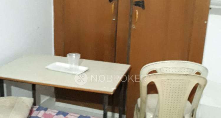 PG for Boys in Sector 13