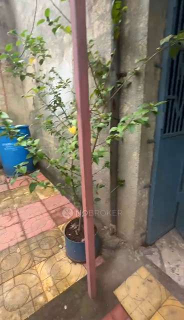 1 BHK House For Sale  In Gauripada