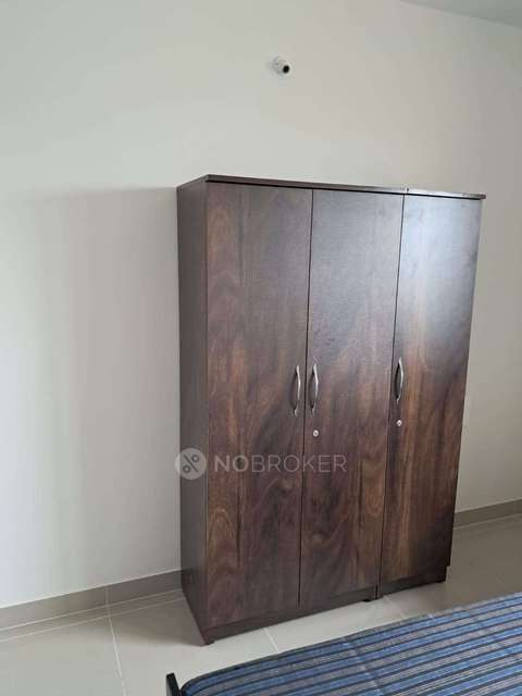 2 BHK Flat In Falcon Tower At Riverview City for Rent  In Loni Kalbhor