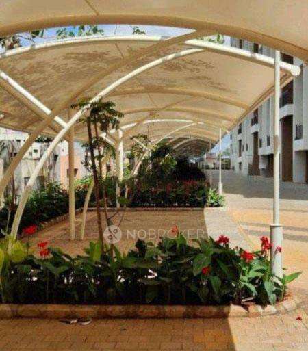 2 BHK Flat In Kalpataru Serenity For Sale  In Manjri Bk