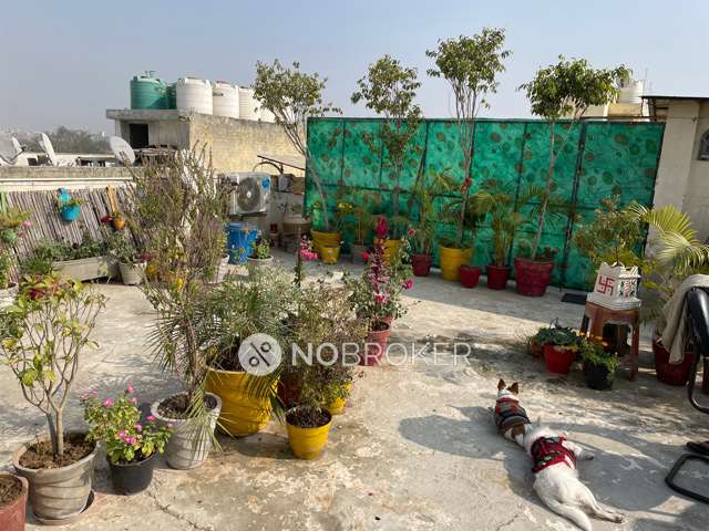 3 BHK Flat For Sale  In Dwarka