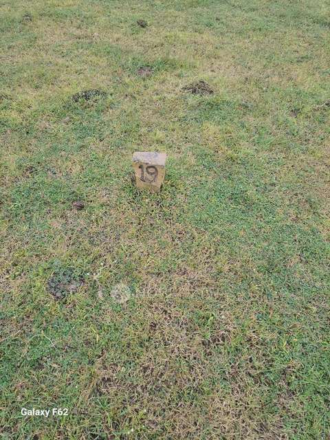 Plot For Sale  In Nattarasanpattu Panchayat Office