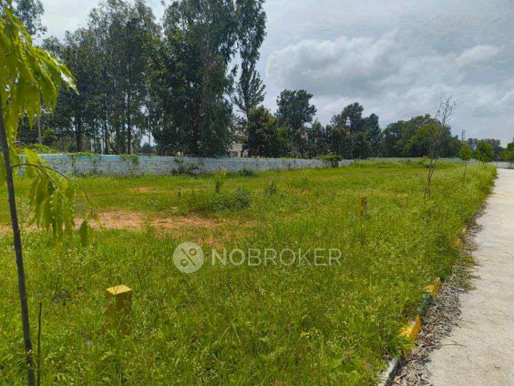 Plot For Sale  In Sky City In Jigani