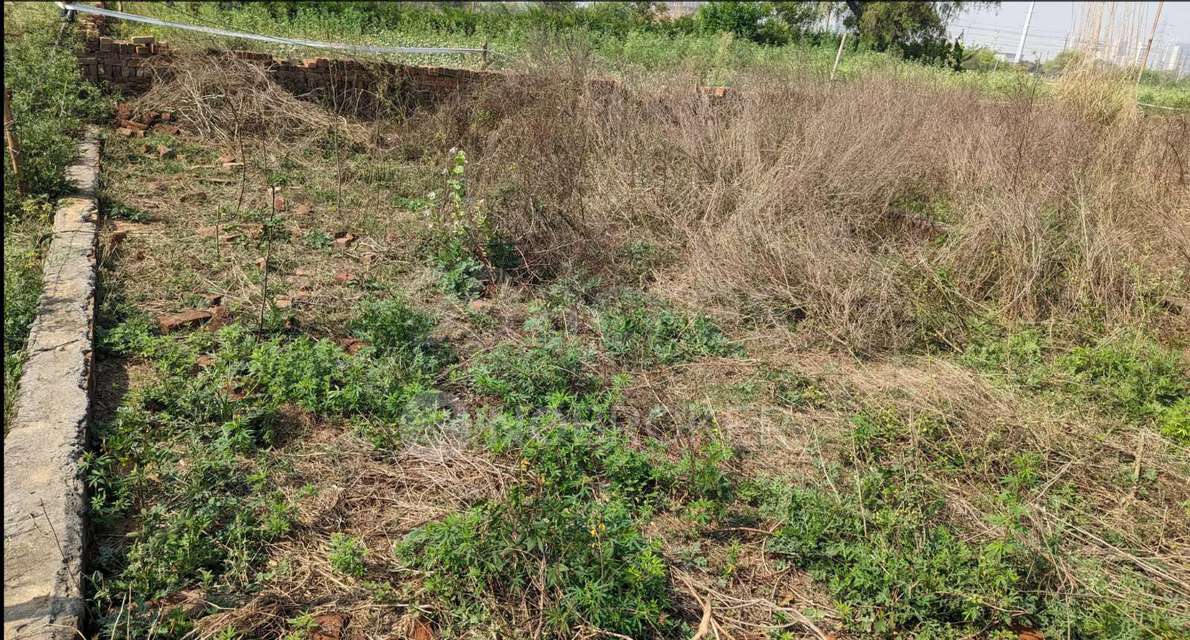 3 BHK House For Sale  In Saini