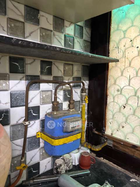 PG for Girls in Hastsal