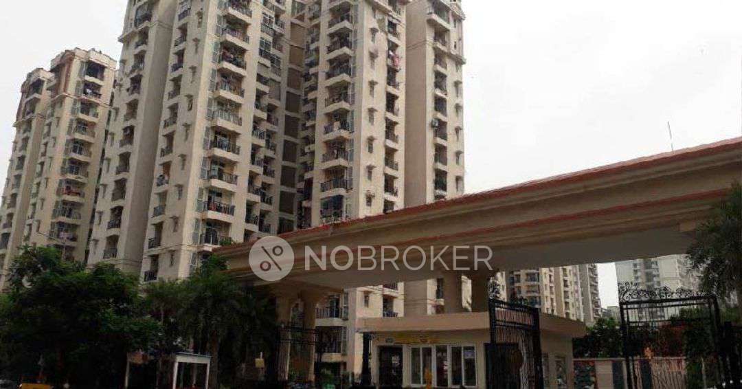 Single Room for Male In 1 BHK  In Amrapali Princely Estate In Sector 76