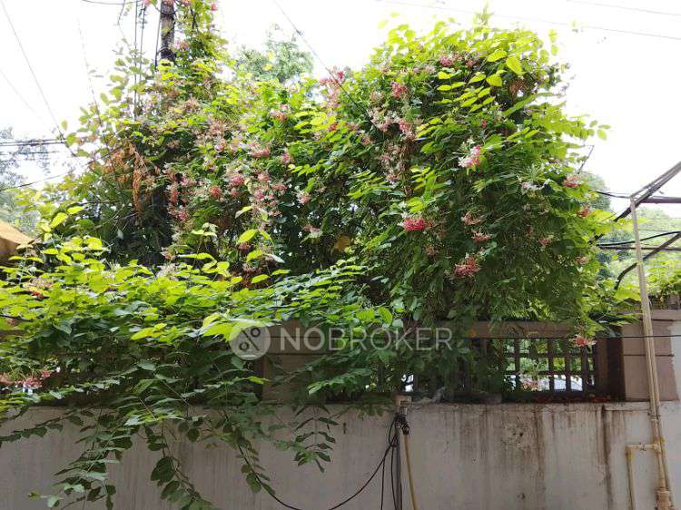 3 BHK House For Sale  In Surya Nagar