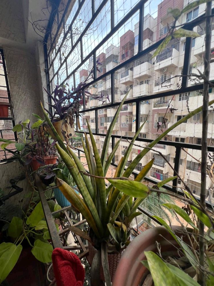 Eapl Sri Tirumala Sarovar