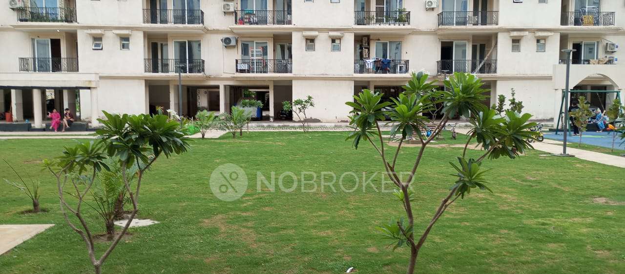 2 BHK Flat In Signature Global Park 4 And 5, Sohna for Rent  In Sector 36