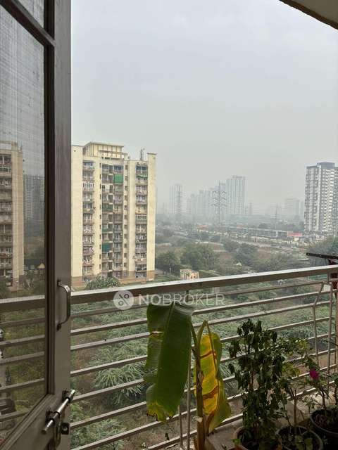 3 BHK Flat In Tulip Orange Sector 69 for Rent  In Sector 70