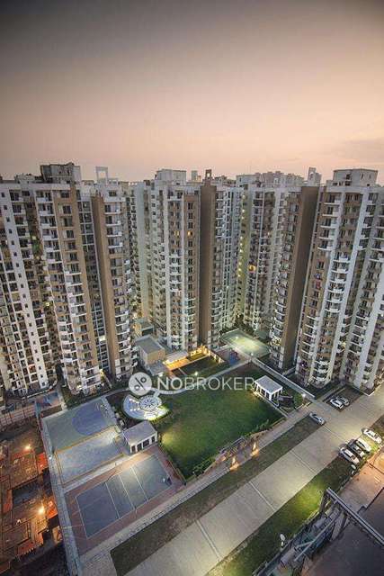 2 BHK Flat In Express Zenith for Rent  In Sector 77 Rd