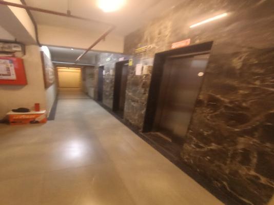 2 BHK Flat In Bhalchandra Akashvan for Rent  In Punawale