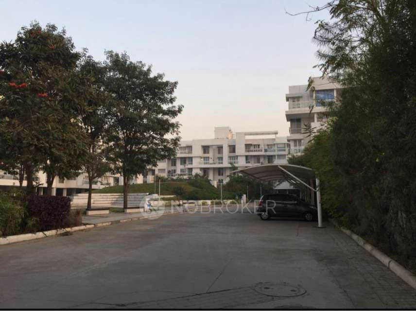 1 BHK Flat In Splendid Square for Rent  In Lohegaon