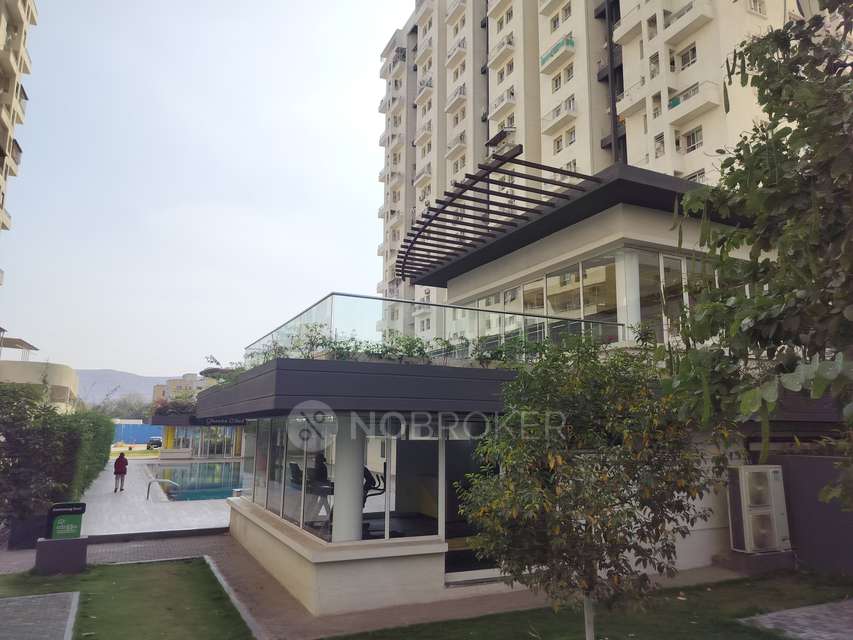 2 BHK Flat In Godrej Greens for Rent  In Undri
