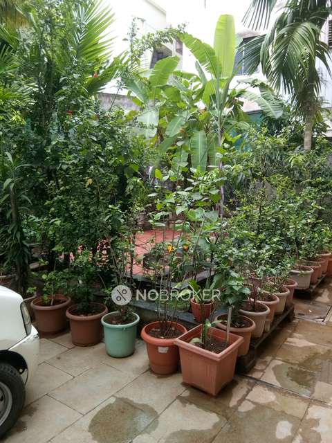 1 BHK House for Rent  In Bibwewadi