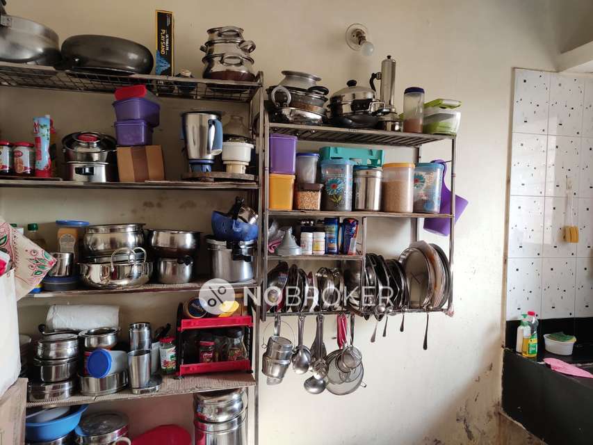 1 BHK Flat In Spring Glory Apartments for Rent  In Kharadi