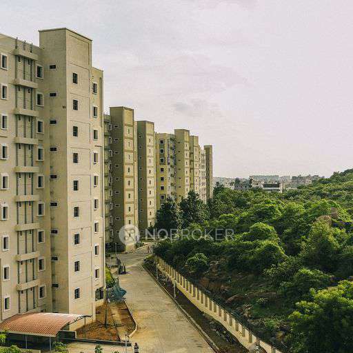 2 BHK Flat In Divyashree Shakti for Rent  In Miyapur