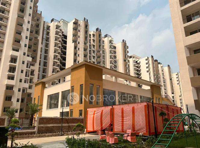2 BHK Flat In Leisure Park for Rent  In Amrapali Leisure Park