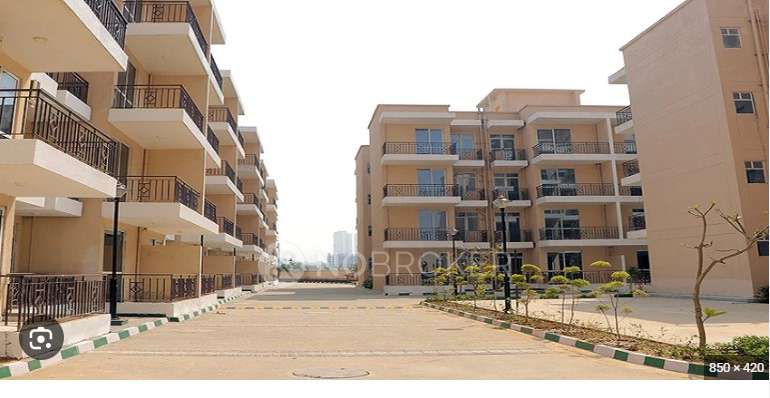 1 BHK Flat In Signature Andour Heights for Rent  In Gurgaon