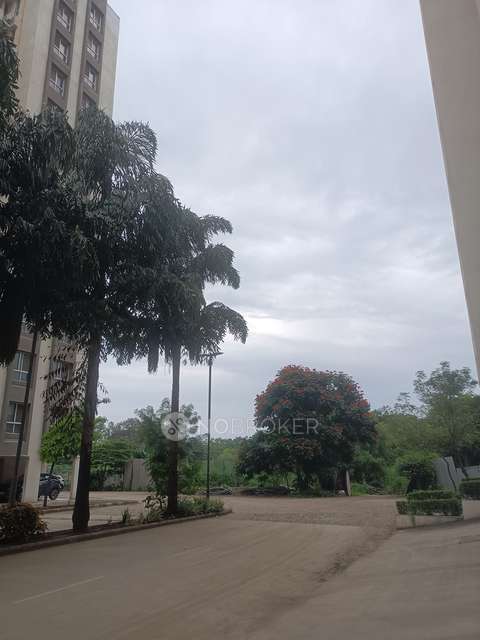 2 BHK Flat In Kolte Patil Little Earth for Rent  In Kiwale