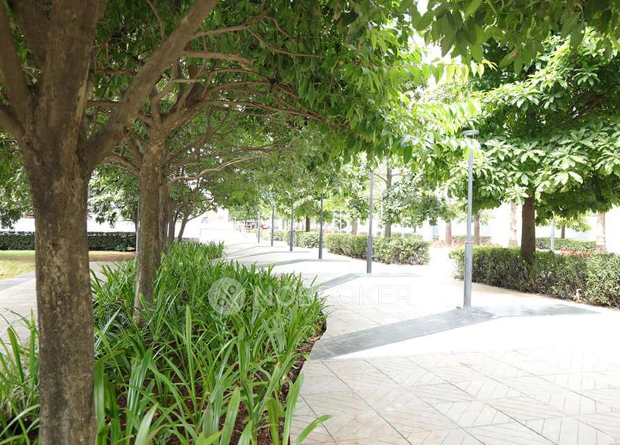 2 BHK Flat In Kolte Patil Little Earth for Rent  In Kiwale