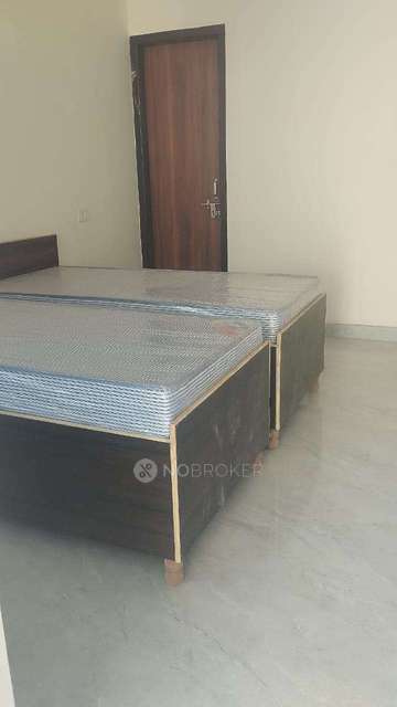 PG for Boys in Sector 135