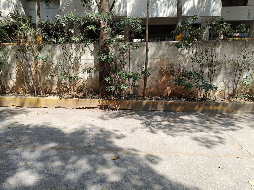 2 BHK Flat In Platina Society for Rent  In Platina Society