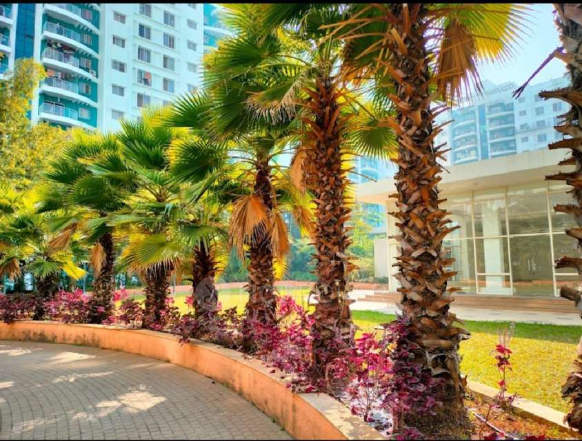 2 BHK Flat In Megapolis Sunway for Rent  In Hinjawadi