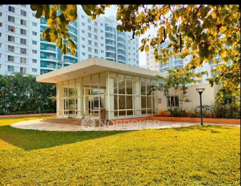 2 BHK Flat In Megapolis Sunway for Rent  In Hinjawadi