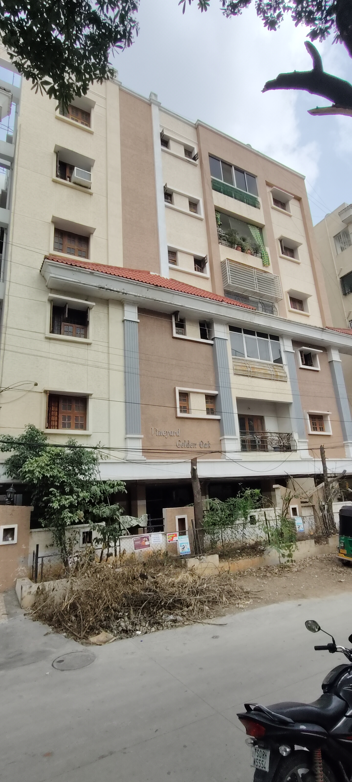 Vineyard Golden Oak, Sainikpuri