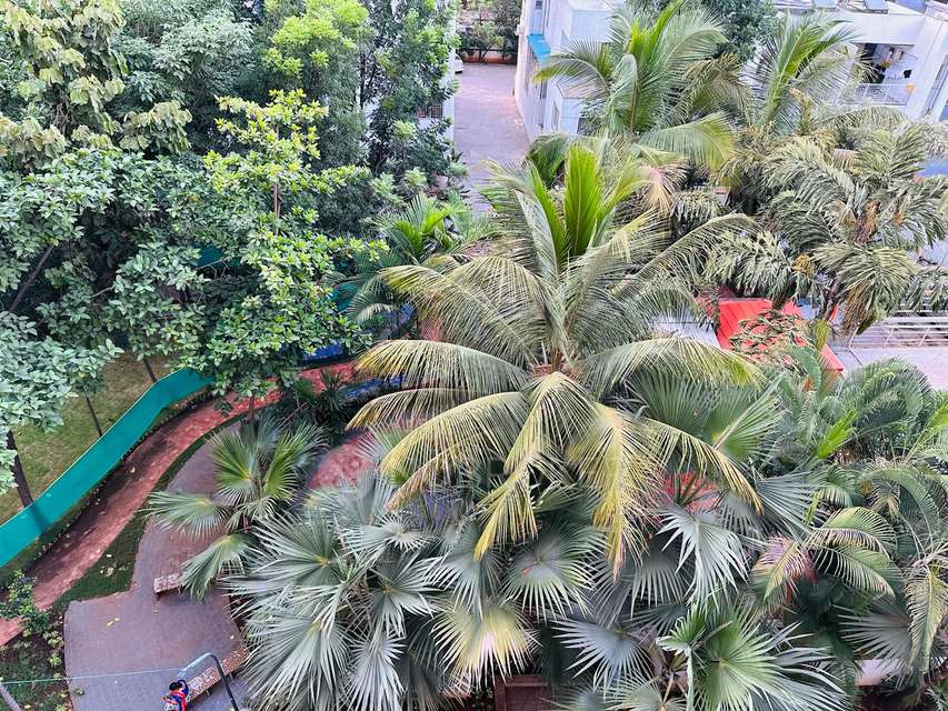 2 BHK Flat In Runwal Seagull for Rent  In Hadapsar