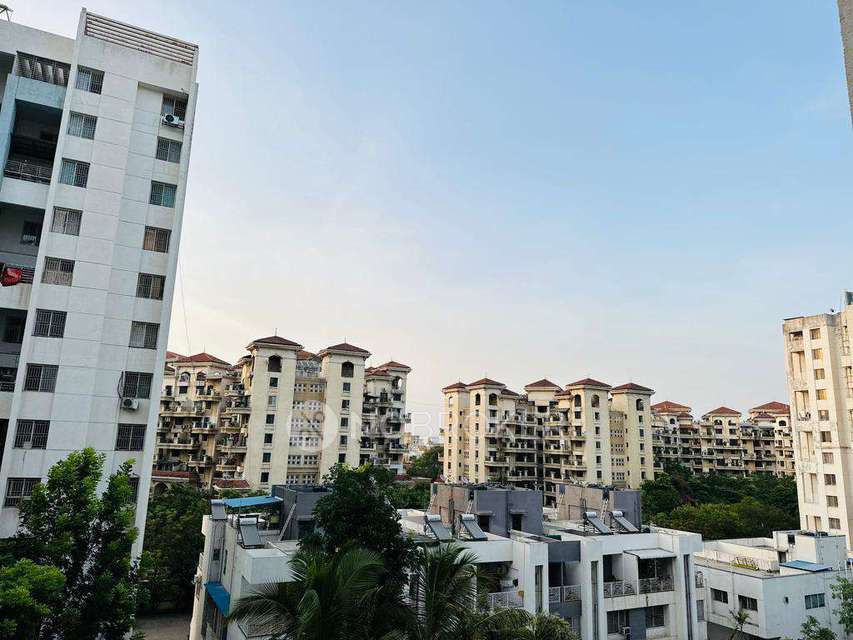 2 BHK Flat In Runwal Seagull for Rent  In Hadapsar