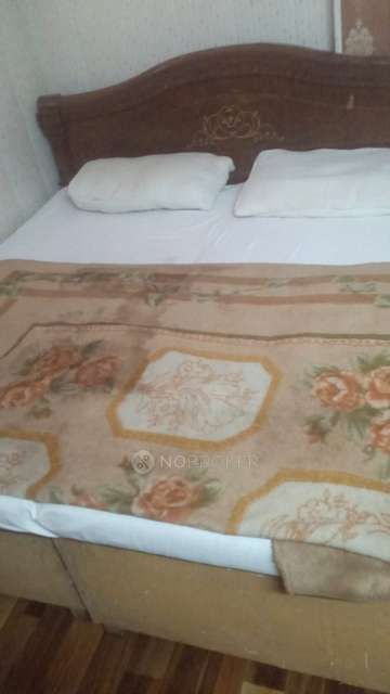 PG for Boys in Sector 38